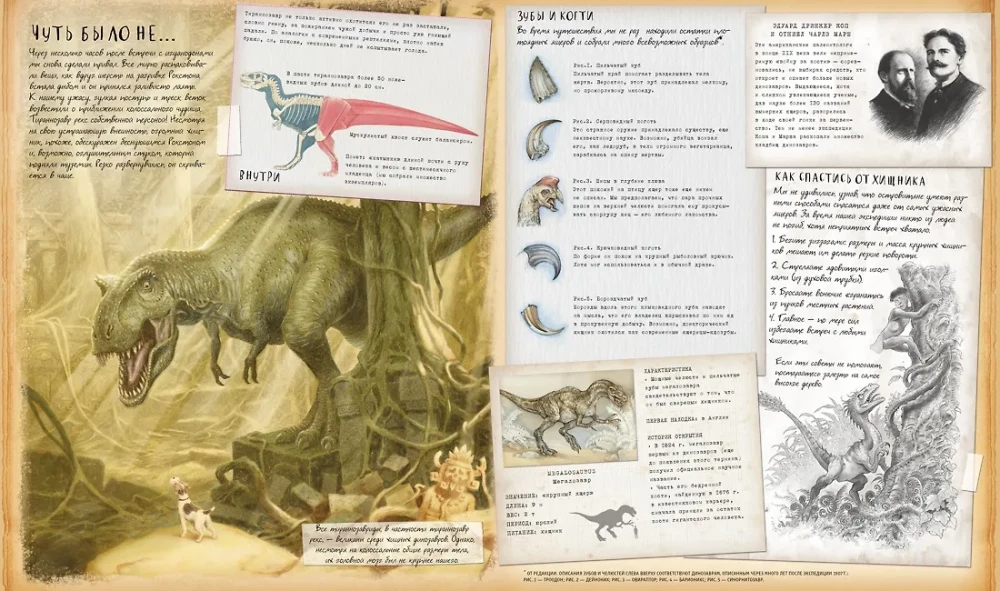 Dinosaur Studies
