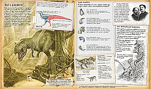Dinosaur Studies