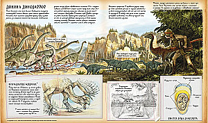 Dinosaur Studies
