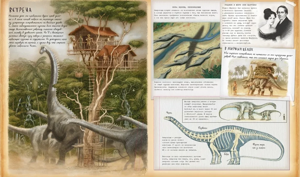 Dinosaur Studies