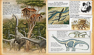 Dinosaur Studies