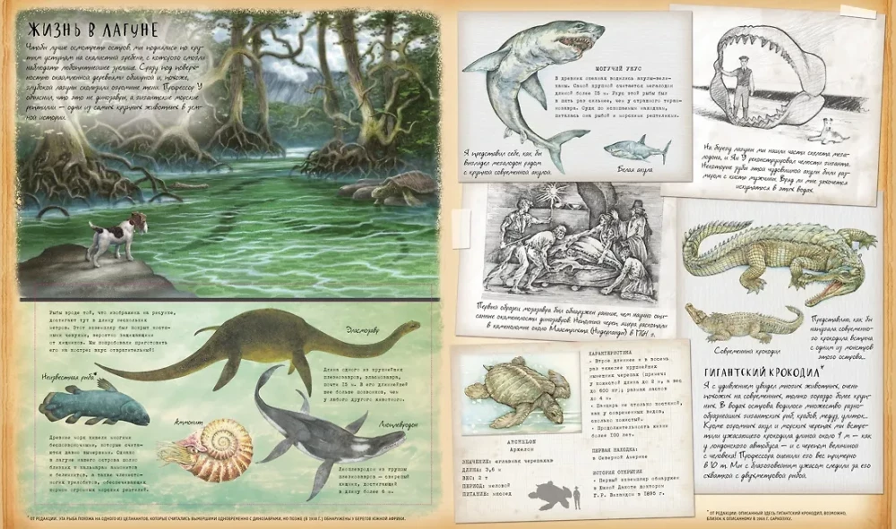 Dinosaur Studies