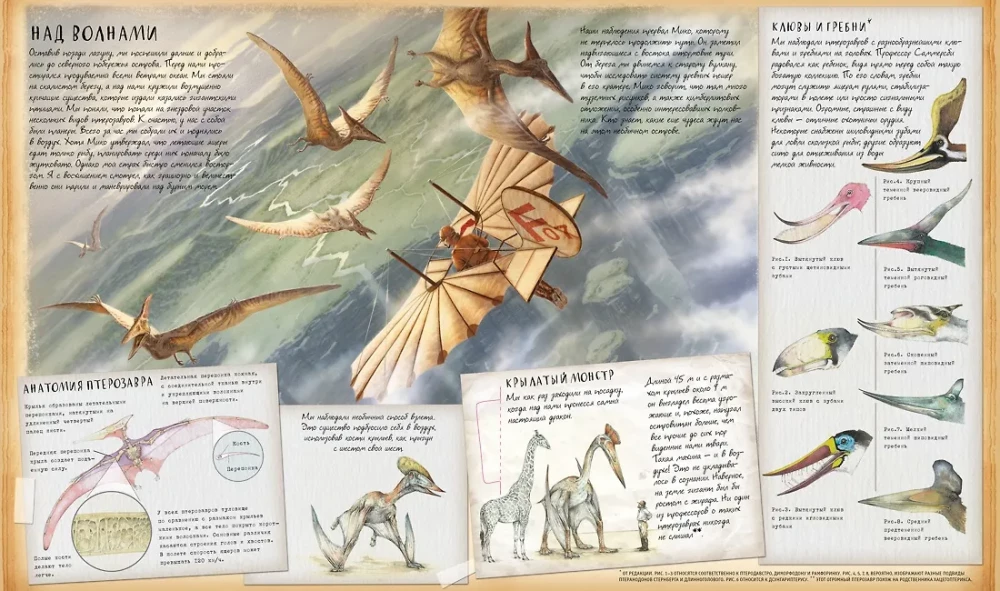 Dinosaur Studies