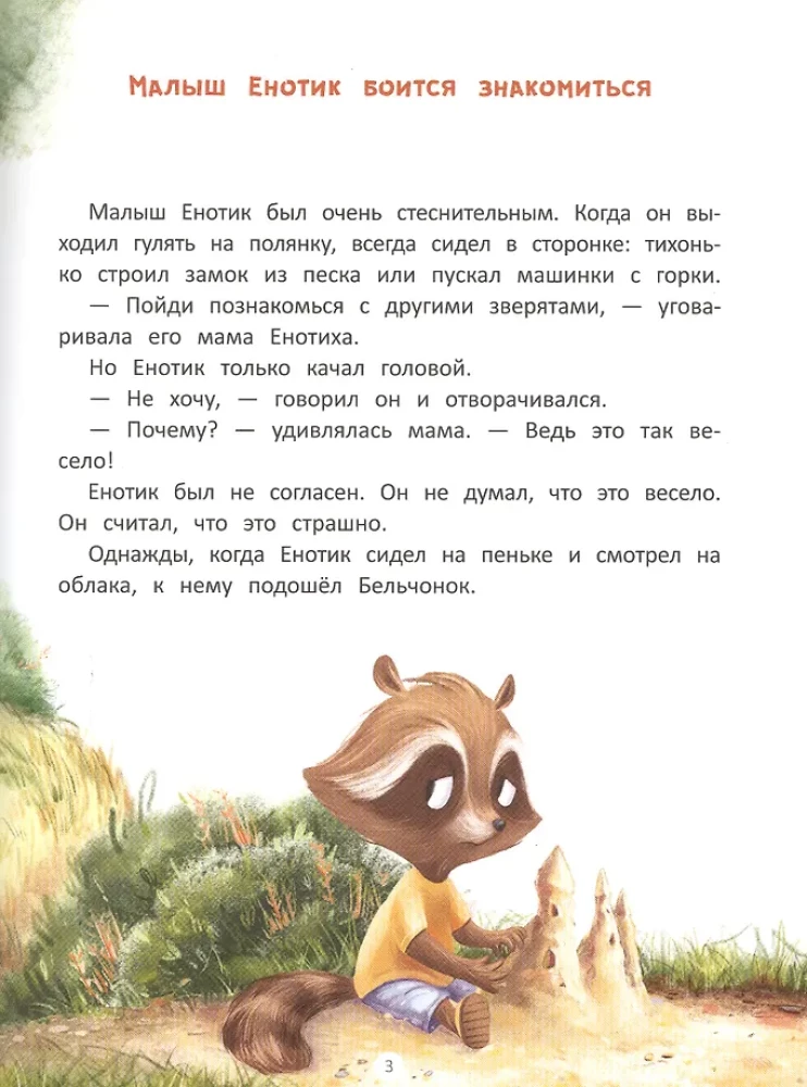 The Little Raccoon Finds Friends