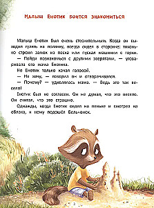 The Little Raccoon Finds Friends