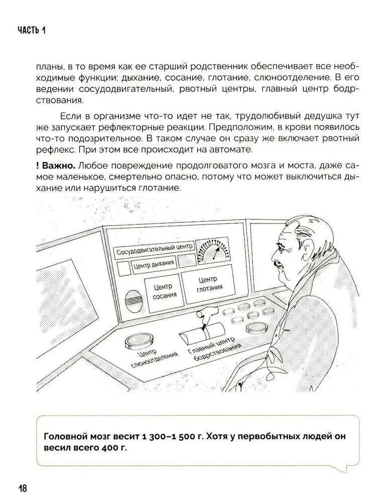Взрыв мозга. Что происходит, когда становишься подростком