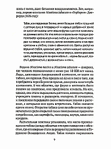 Табак. От магии до индустрии
