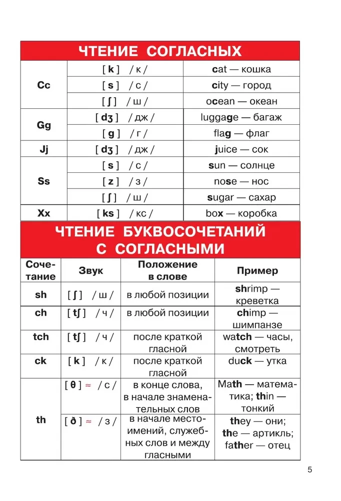 Английский язык. 2-4 классы