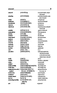 English-Russian. Russian-English Dictionary with Pronunciation for Those Who Know Nothing