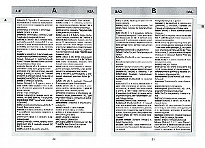 Angielsko-rosyjski słownik z aplikacją gramatyczną
