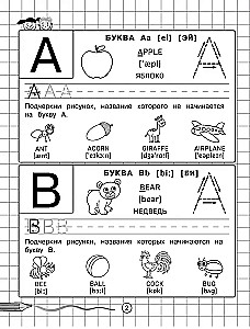 Английский язык