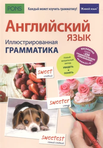 Anglų kalba. Iliustruota gramatika. 2-asis leidimas
