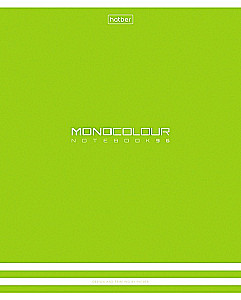 Zbinder - MONOCOLOUR, 96 lehte, ruudustik