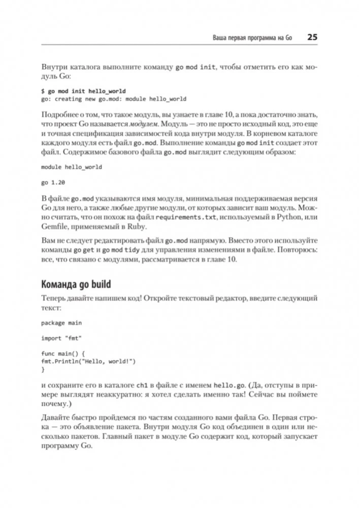 Go: Idiome und Entwurfsmuster
