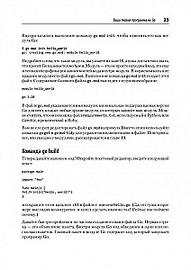 Go: Idiome und Entwurfsmuster