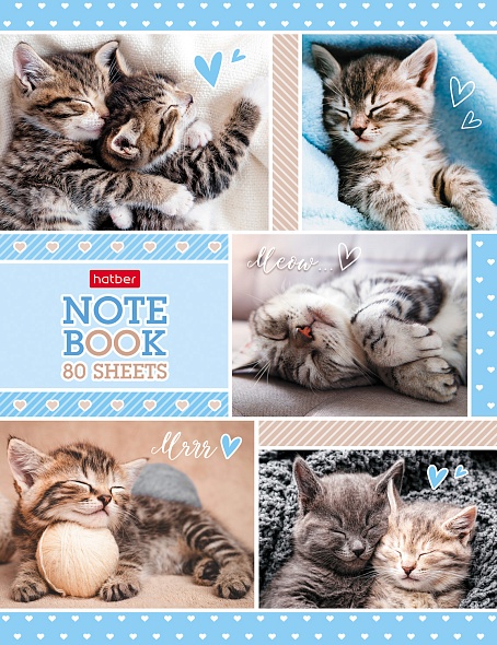 Business Notebook A5 - Fluffy Faces (Grid)