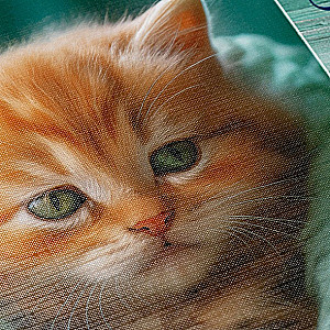 Скетчбук А4 - Котик в пледике (акварельная бумага)