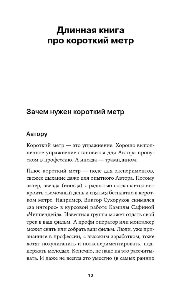Kurzfilme. Arbeit am Drehbuch
