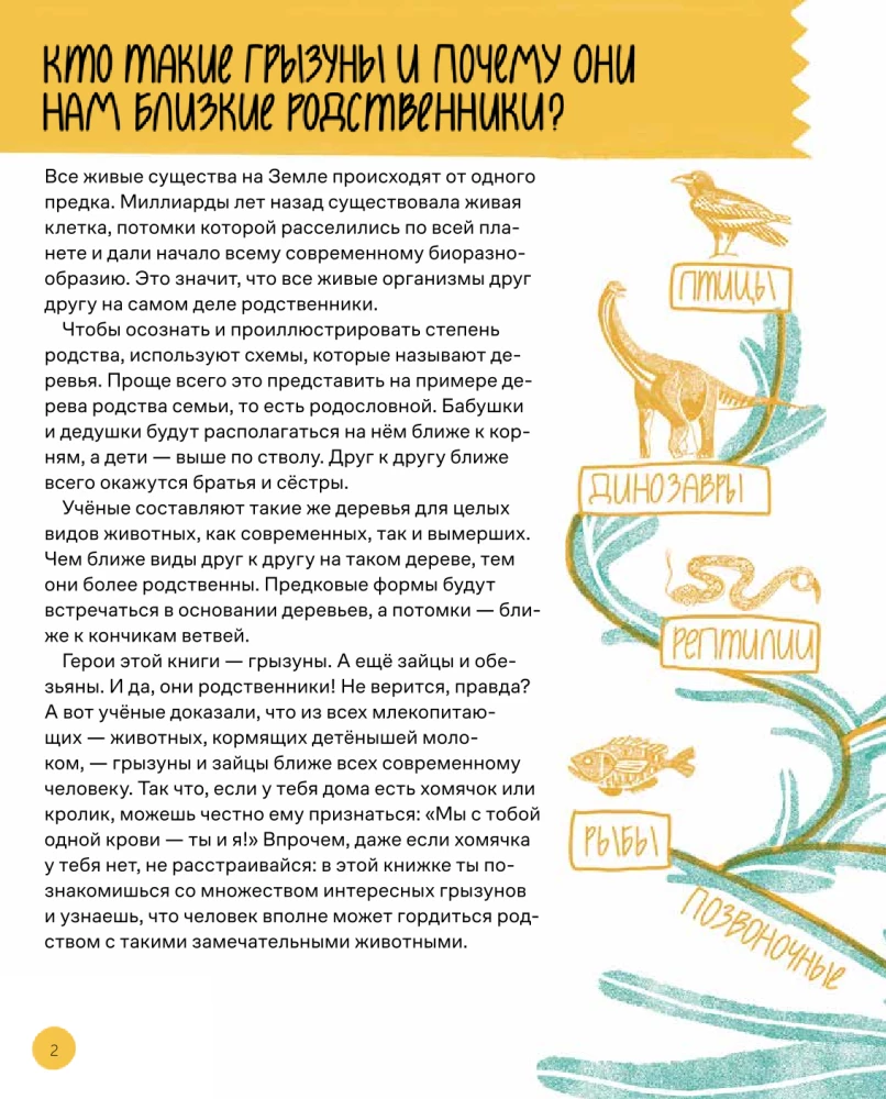 This is How the Capybara: Extraordinary Rodents and Their Relatives