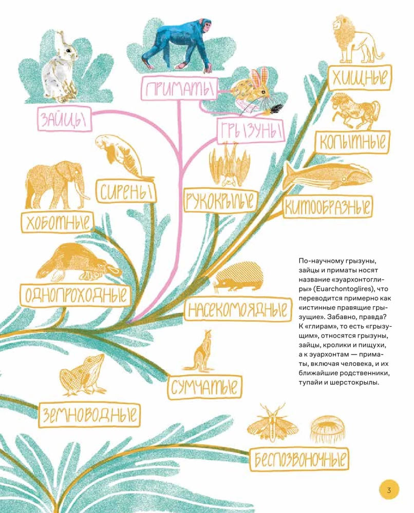 This is How the Capybara: Extraordinary Rodents and Their Relatives