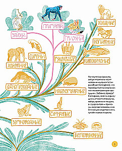 This is How the Capybara: Extraordinary Rodents and Their Relatives