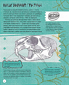 This is How the Capybara: Extraordinary Rodents and Their Relatives