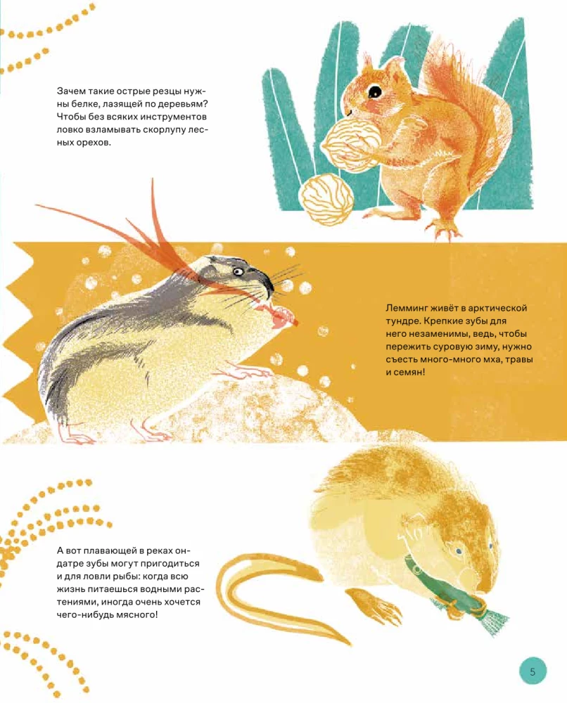 This is How the Capybara: Extraordinary Rodents and Their Relatives