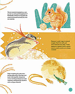 This is How the Capybara: Extraordinary Rodents and Their Relatives