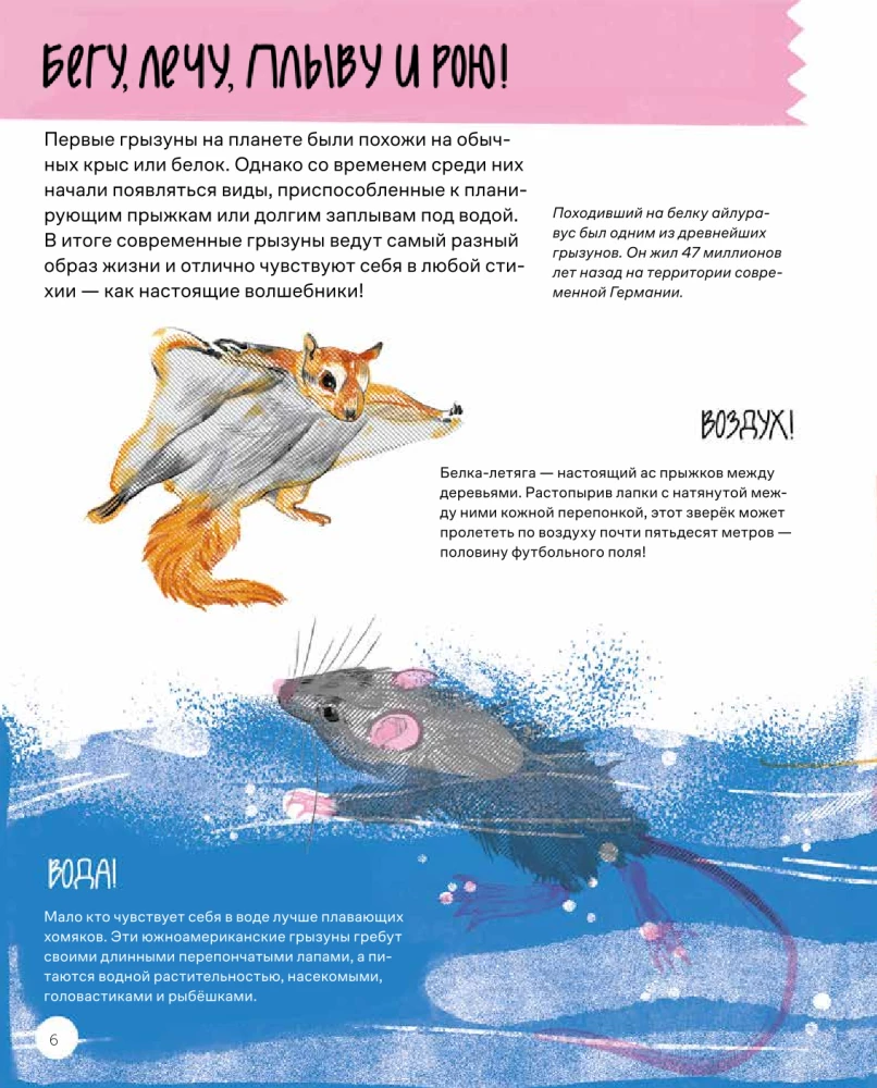 This is How the Capybara: Extraordinary Rodents and Their Relatives
