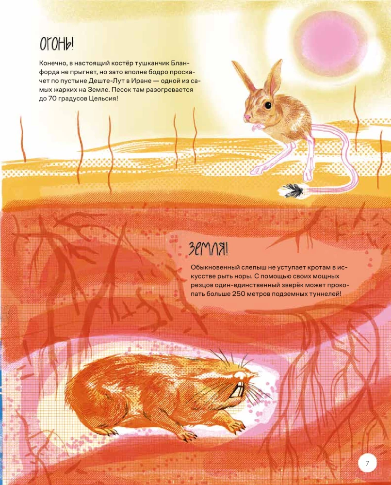 This is How the Capybara: Extraordinary Rodents and Their Relatives