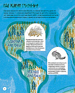 This is How the Capybara: Extraordinary Rodents and Their Relatives