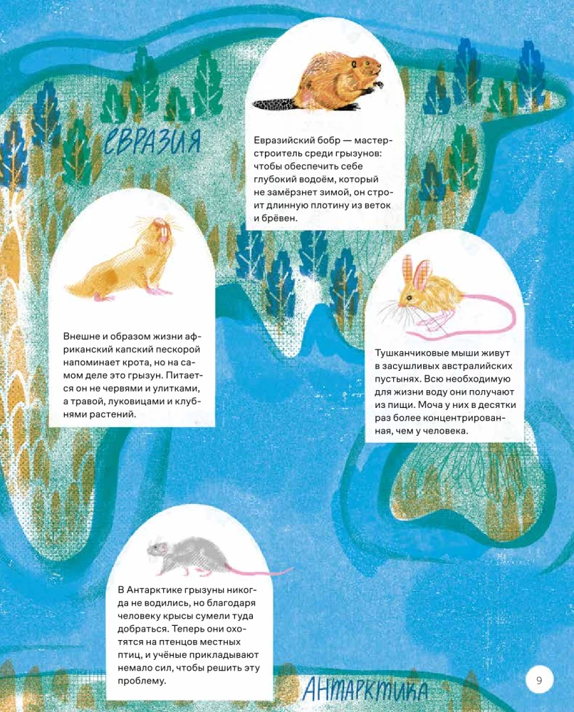 So lebt die Capybara: ungewöhnliche Nagetiere und ihre Verwandten