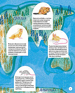 This is How the Capybara: Extraordinary Rodents and Their Relatives