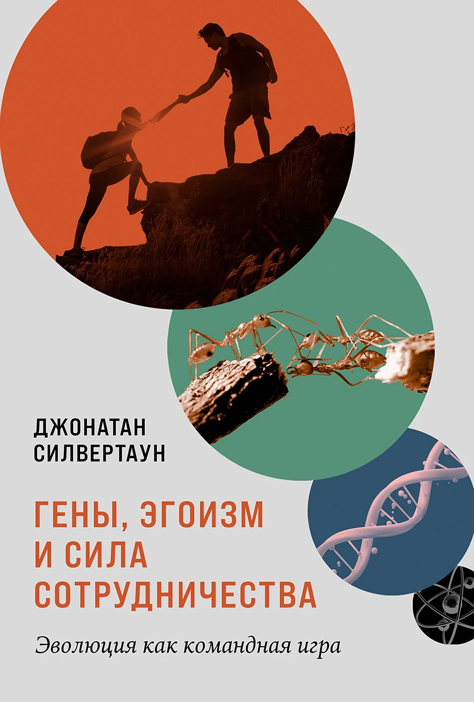 Genes, Egoism and the Power of Cooperation: Evolution as a Team Game
