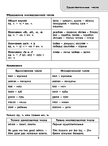 Język angielski. Cały kurs gramatyki w schematach i tabelach