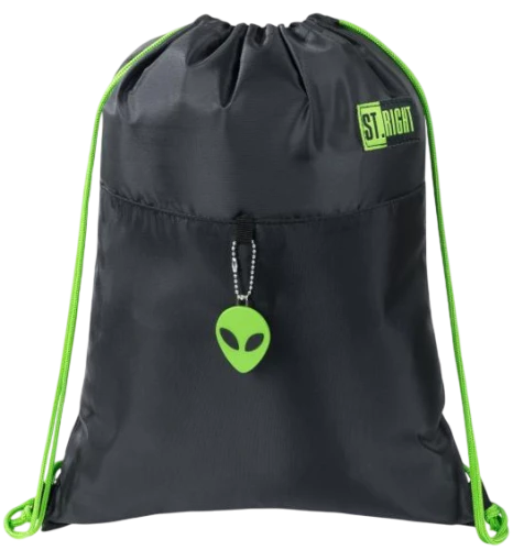 Shoe Bag - ST.RIGHT.Green Power