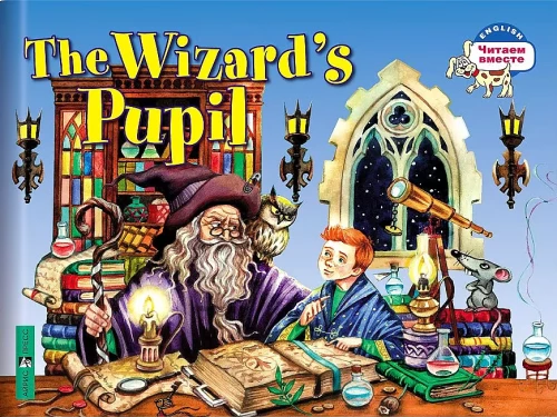 The Wizard's Pupil