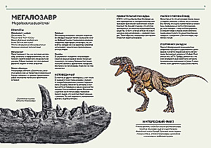 Dinosaurier in Lebensgröße