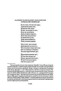 Хитроумный идальго Дон Кихот Ламанчский