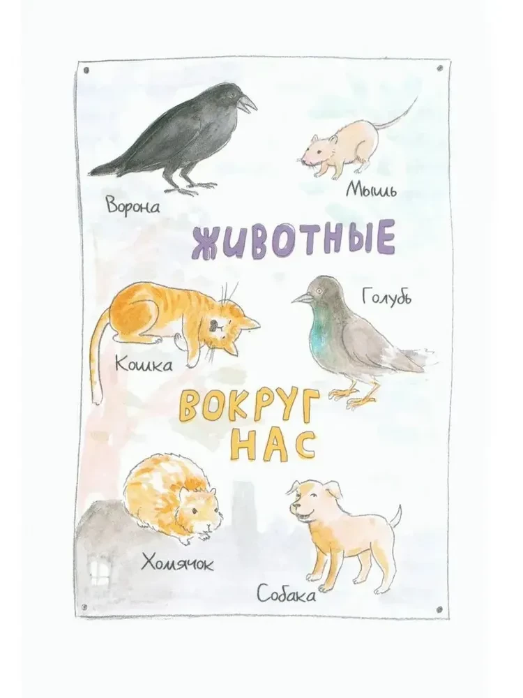Where does podrostikus live?