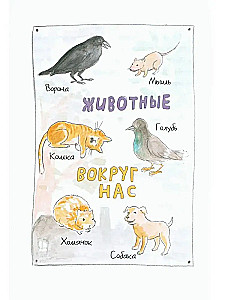 Where does podrostikus live?