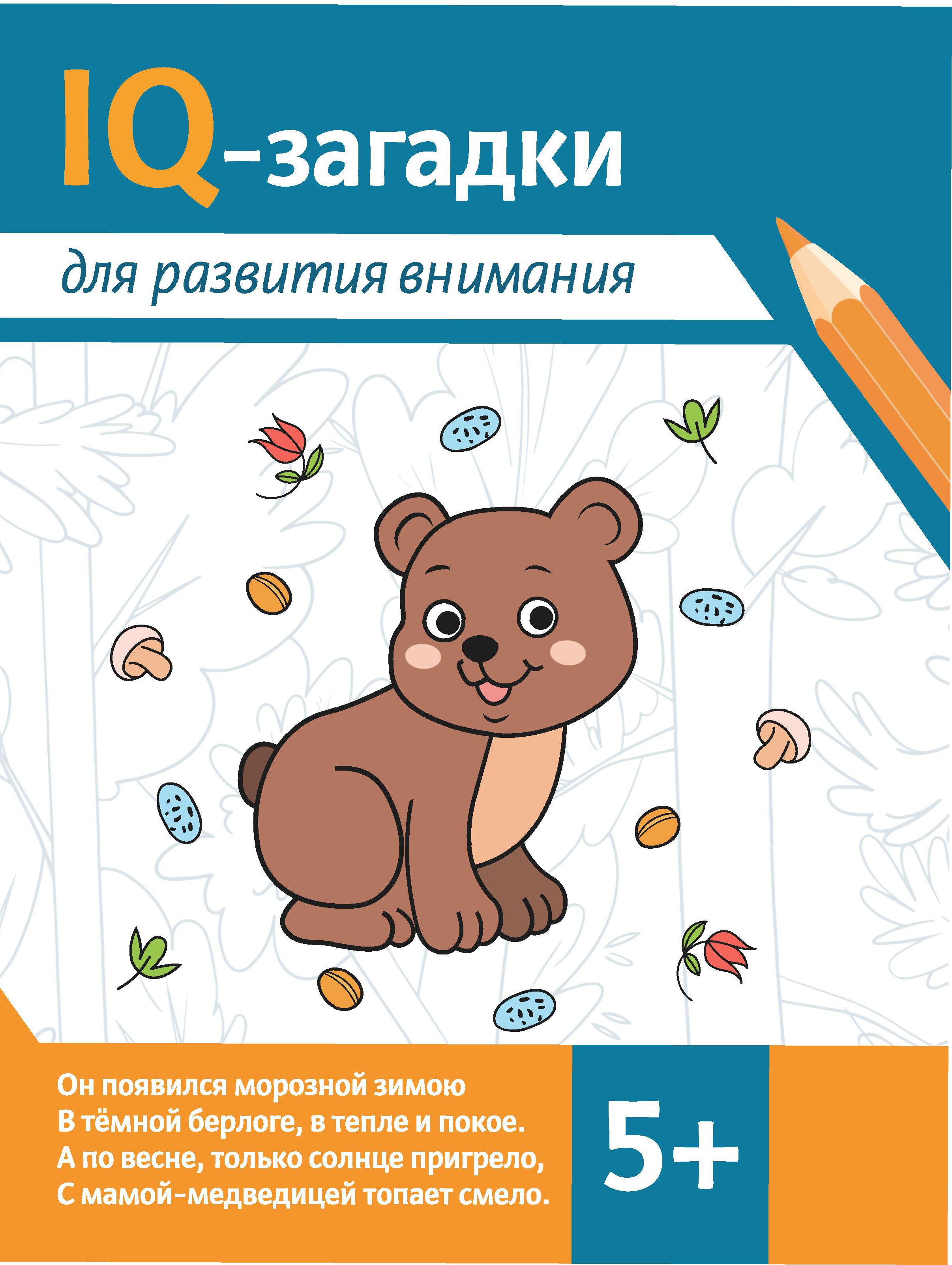 IQ mįslės dėmesio ugdymui