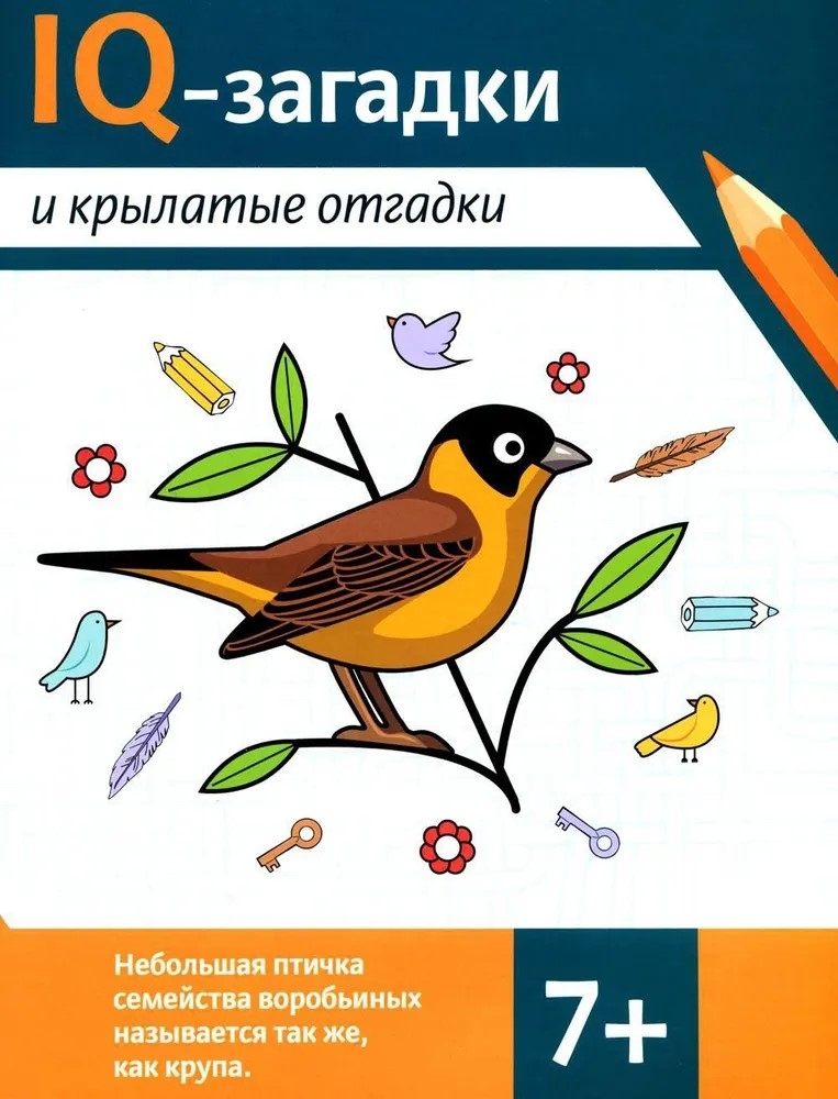 IQ mįslės ir sparnuotieji atsakymai