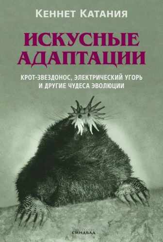 Искусные адаптации