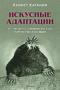 Искусные адаптации