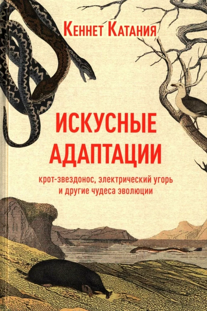 Искусные адаптации