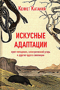 Искусные адаптации