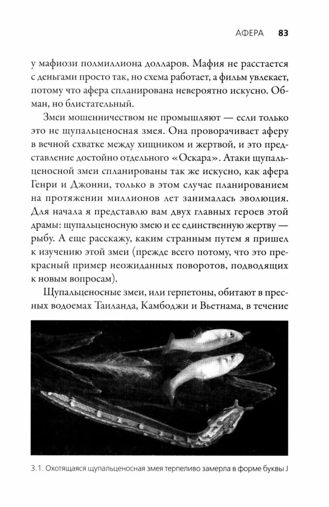 Искусные адаптации