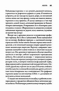 Искусные адаптации