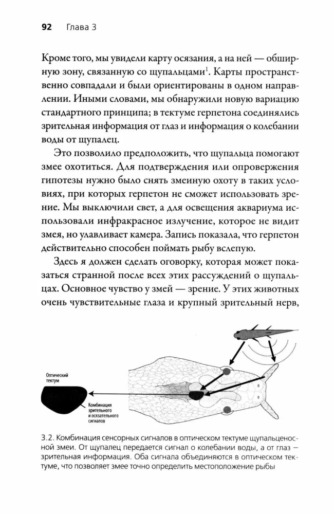 Искусные адаптации